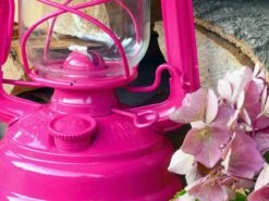 Feuerhand Baby Special 276 Telemagenta Stormlamp 9 Feuerhand Baby Special 276 Telemagenta Stormlamp -Kampeer Speciaal Winkel feuerhand stormlamp magenta 4 ecommerce bd07
