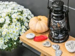 Feuerhand Baby Special 276 Black Stormlamp -Kampeer Speciaal Winkel feuerhand stormlamp zwart 4 ecommerce 1292